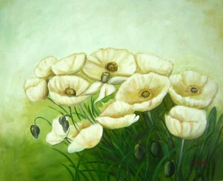 bíle květy, květinový motiv, zelená, mák, obraz do bytu