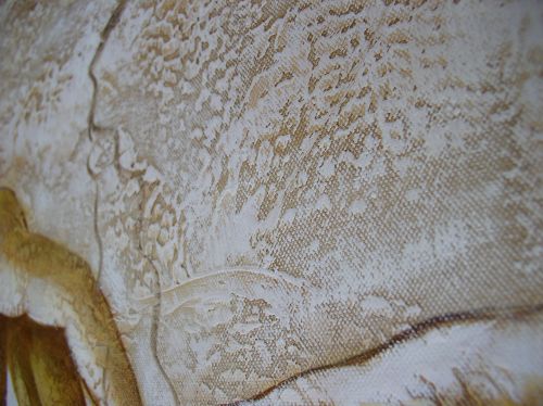 detail obrazku rep_06