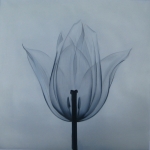 černobílá, tulipán, květinový motiv, moderní obraz, obraz do bytu, 