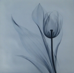 černobílá, tulipán, květinový motiv, obraz do bytu, 