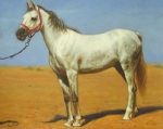 zakázková malba, kůň,  obrazy na zakázku, olejomalba